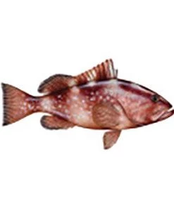 CRB Gamefish Rod Decals 114 CRB Gamefish Rod Decals