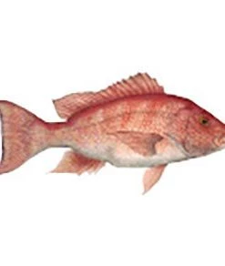 CRB Gamefish Rod Decals 87 CRB Gamefish Rod Decals