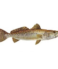 CRB Gamefish Rod Decals 91 CRB Gamefish Rod Decals