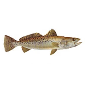 CRB Gamefish Rod Decals 35 CRB Gamefish Rod Decals