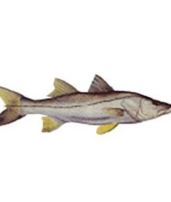 CRB Gamefish Rod Decals 93 CRB Gamefish Rod Decals