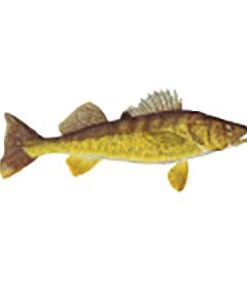 CRB Gamefish Rod Decals 99 CRB Gamefish Rod Decals