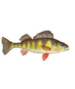 CRB Gamefish Rod Decals 110 CRB Gamefish Rod Decals