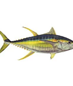 CRB Gamefish Rod Decals 100 CRB Gamefish Rod Decals