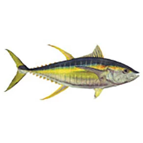 CRB Gamefish Rod Decals 44 CRB Gamefish Rod Decals